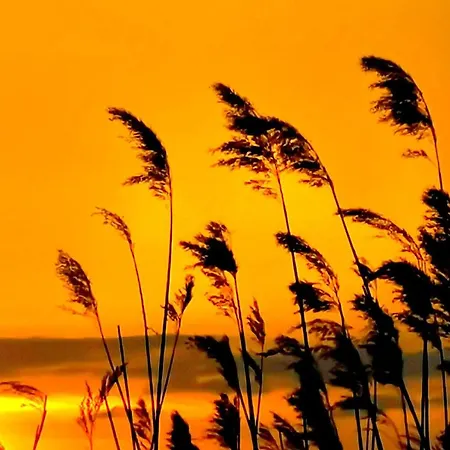Feeling Cone Jurmala