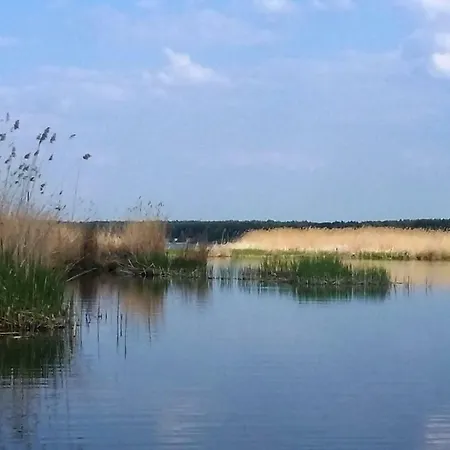 Feeling Cone * Jurmala